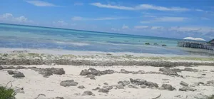 Beach Plot for Sale at Jambiani Zanzibar