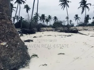 Beach Plot for Sale at Zanzibar