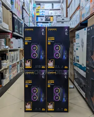 W-King T9-2 Portable Party Speaker With a Microphone