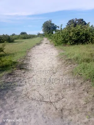 Photo - Eneo Linauzwa Bagamoyo Kaole
