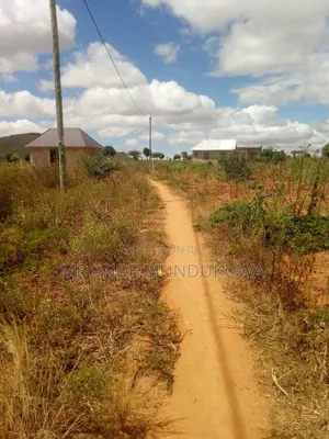 Kiwanja Kinauzwa Udom