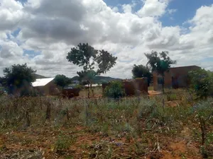 Kiwanja Kinauzwa Udom