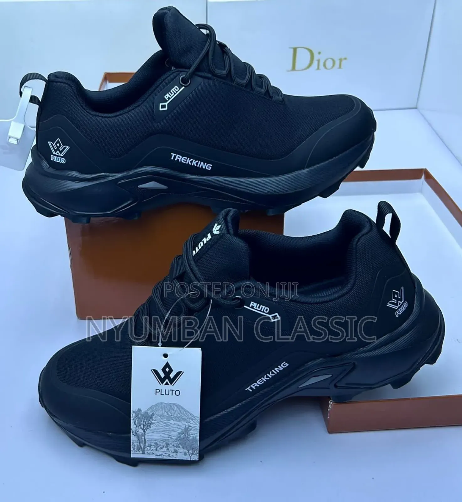 Pluto Vico Shoes