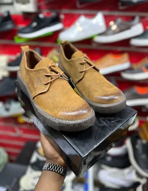 Low Cut Caterpillar Shoes