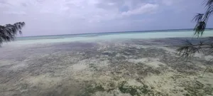 Beach Plot for Sale at Zanzibar