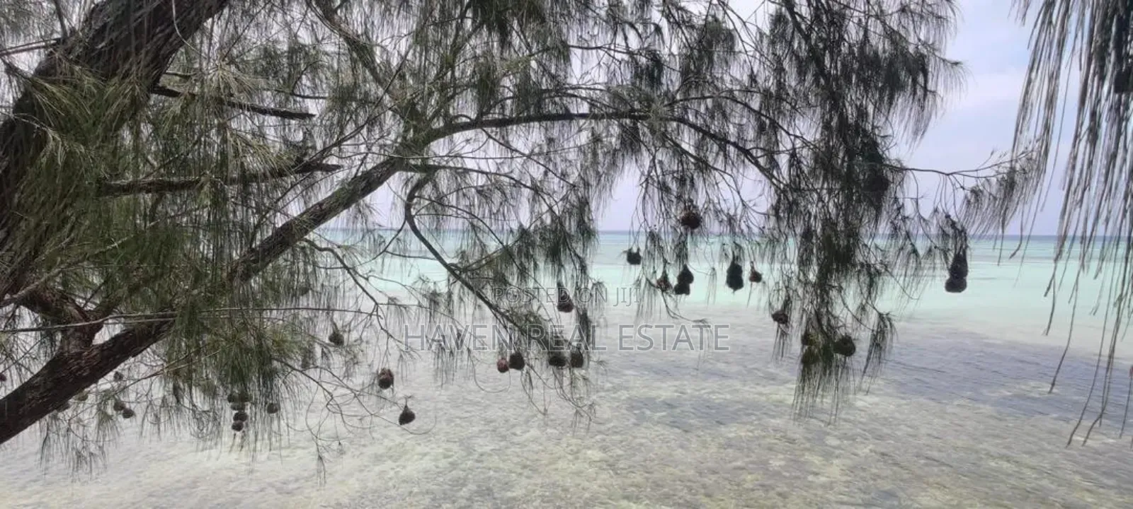 Beach Plot for Sale at Zanzibar