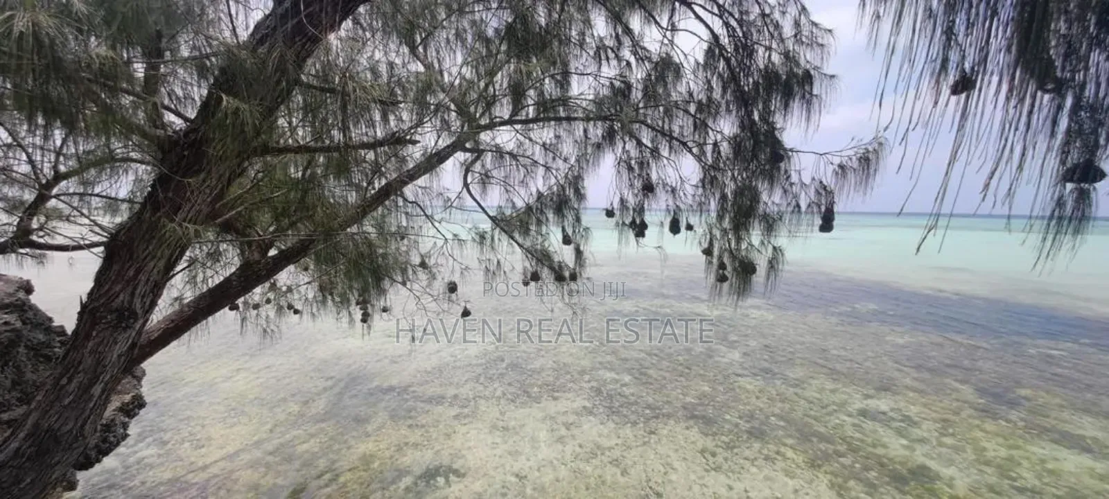 Beach Plot for Sale at Zanzibar