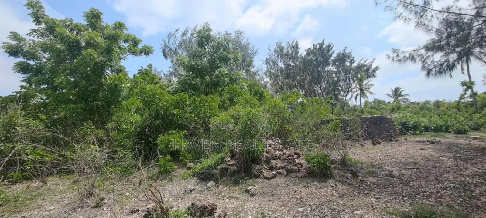 Beach Plot for Sale at Zanzibar