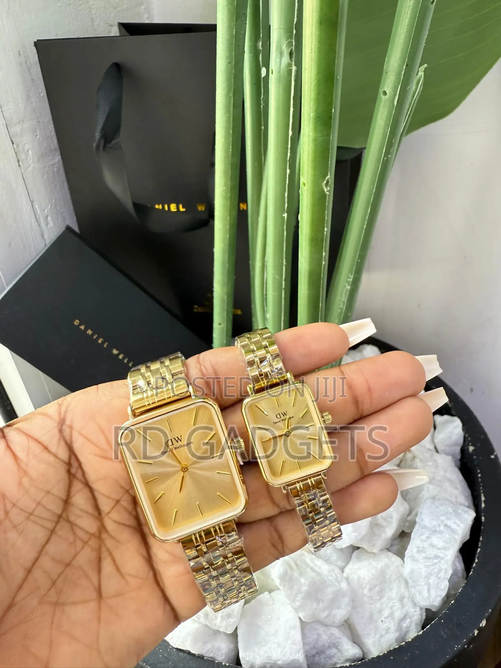 Dw Watches