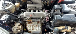 Toyota RAV4 Automatic 2000 White
