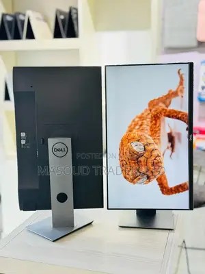 Dell Monitors
