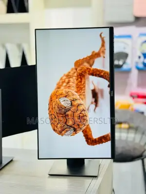 Dell Monitors