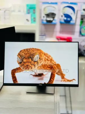 Dell Monitors