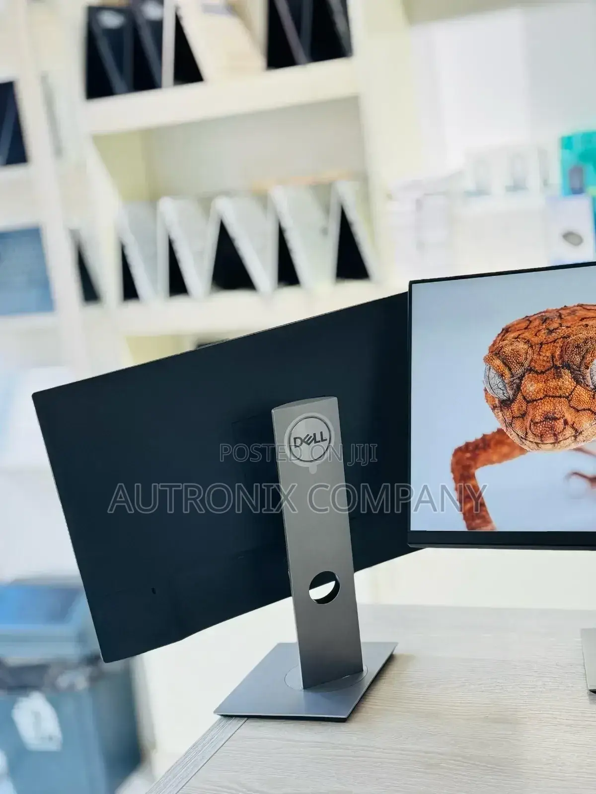 Dell Monitors