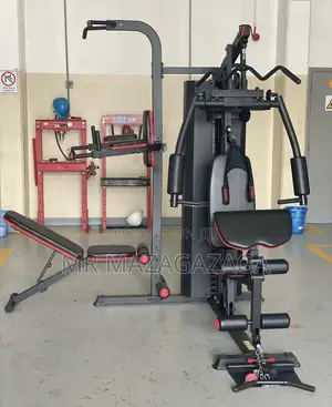 Home Gym 2 Station