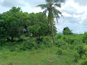 Photo - Shamba (Farm) for Sale Fukayosi Bagamoyo Pwani Region