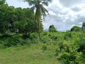 Shamba (Farm) for Sale Fukayosi Bagamoyo Pwani Region