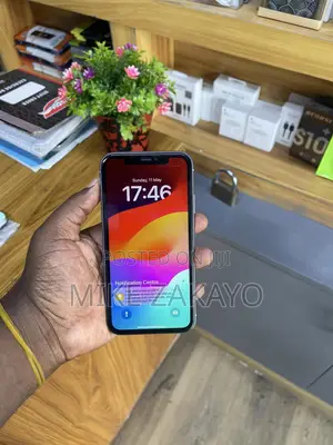 Apple iPhone 11 64 GB Blue