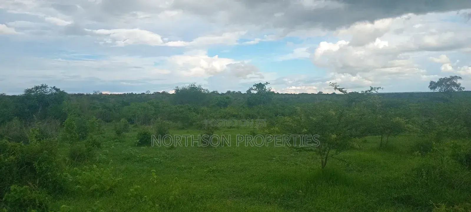 Shamba Fukayose Bagamoyo