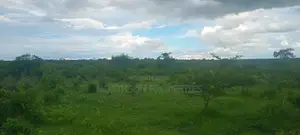 Shamba Fukayose Bagamoyo