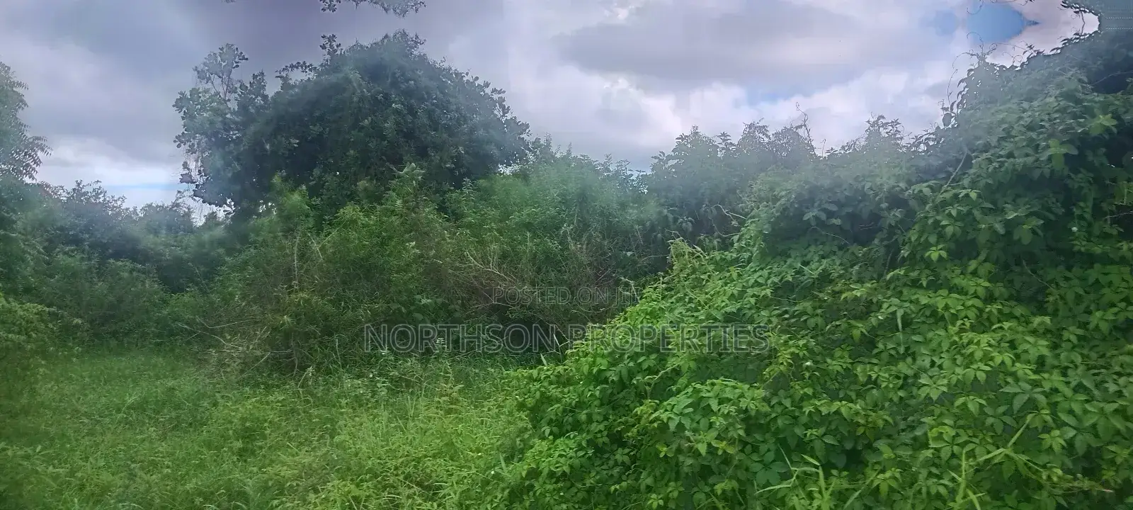 Shamba Fukayose Bagamoyo