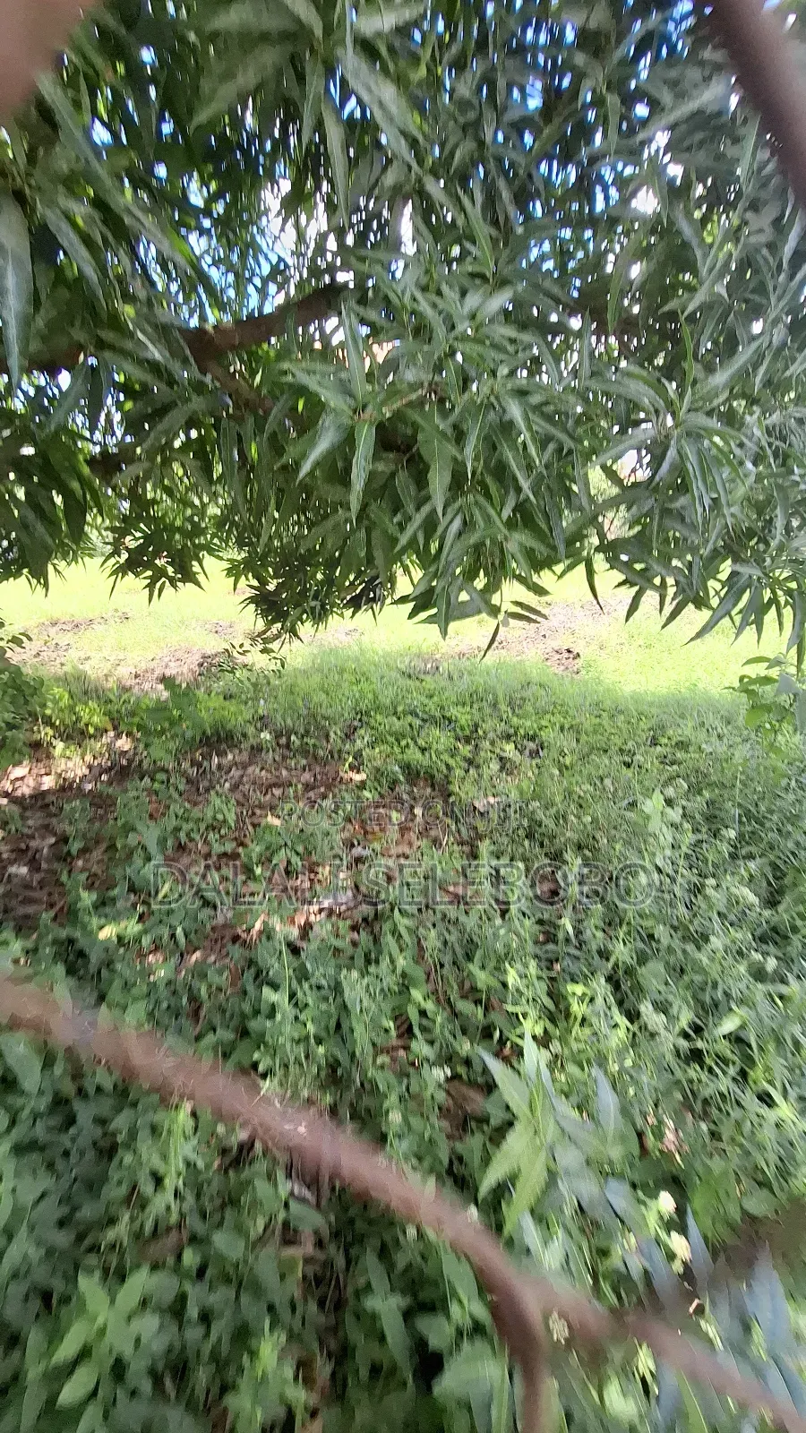 Corner Plot at Mbweni and House Inside