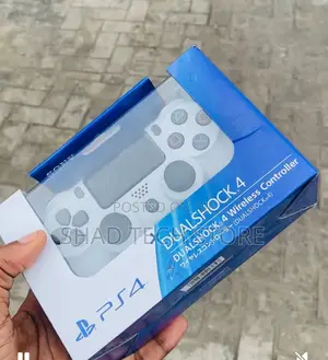 Ps4 Dual Shock Controller