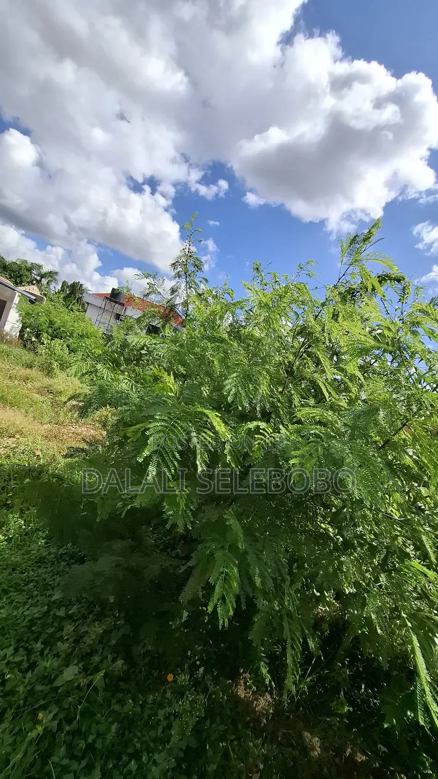 Corner Plot at Mbezi Beach Jk Nyerere