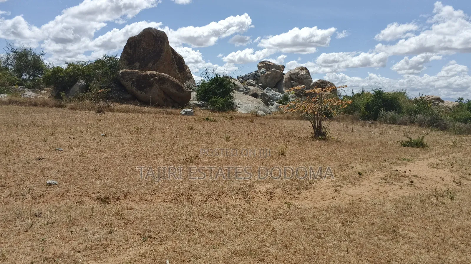 Viwanja Viwili Vinauzwa Pamoja Iyumbu East Kwa Venny