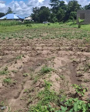 Plot Inauzwa Kerege Pwani