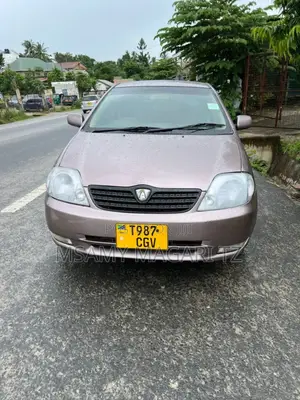 Toyota Corolla RunX 1.5 X FWD 2001 Silver