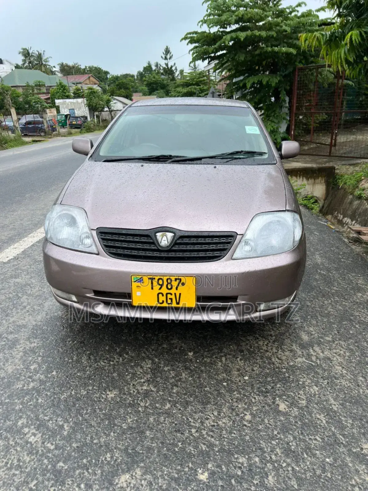 Toyota Corolla RunX 1.5 X FWD 2001 Silver