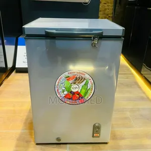 SPJ Freezer 100l