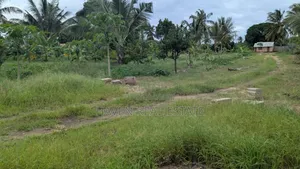 Eneo La Eka 4.9 Linauzwa Kigamboni