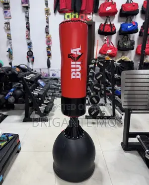 Photo - Punching Bag