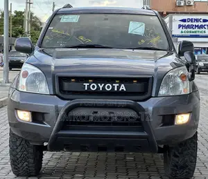 Toyota Land Cruiser Prado 2005 Gray