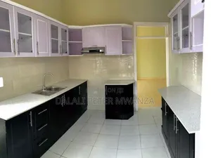 2bdrm House in Airport Road, Ilemela for rent