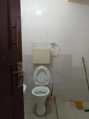 3bdrm Apartment in Kariakoo for rent