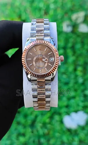 Rolex Sky Dweller Watch Gold Silver and Brown