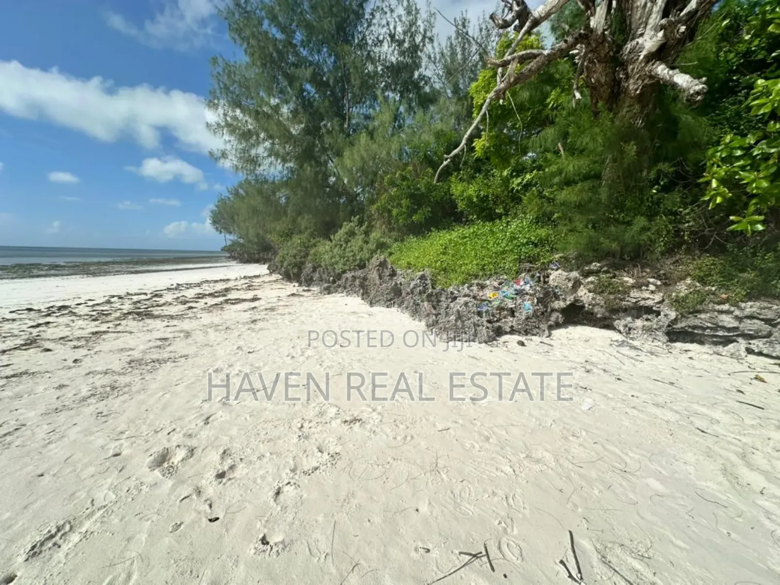 Beach Plot for Sale at Zanzibar