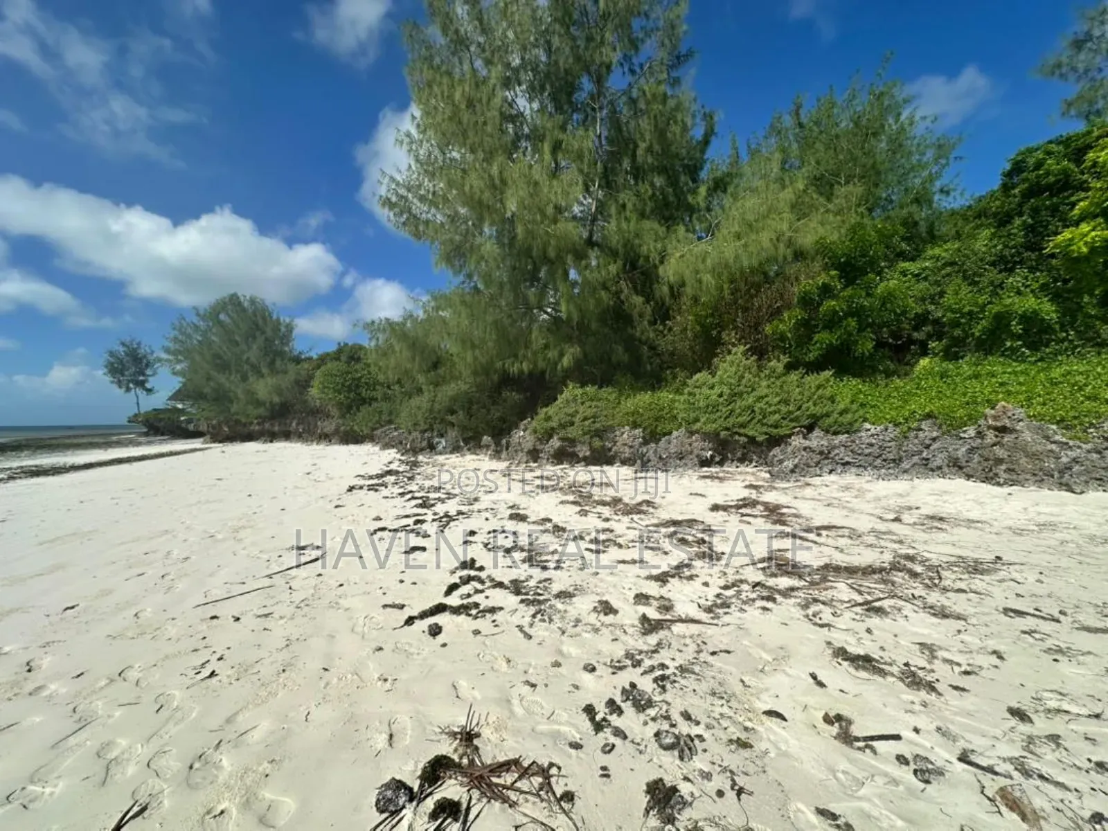 Beach Plot for Sale at Zanzibar