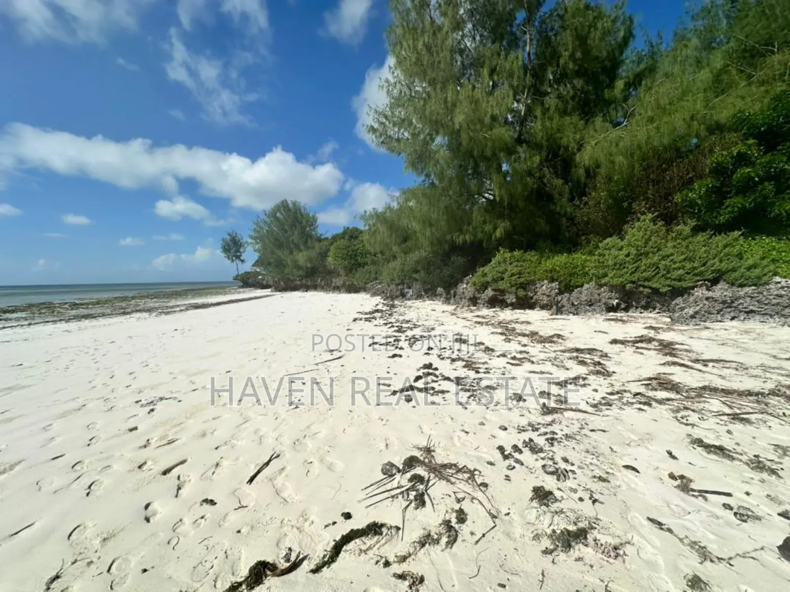 Beach Plot for Sale at Zanzibar