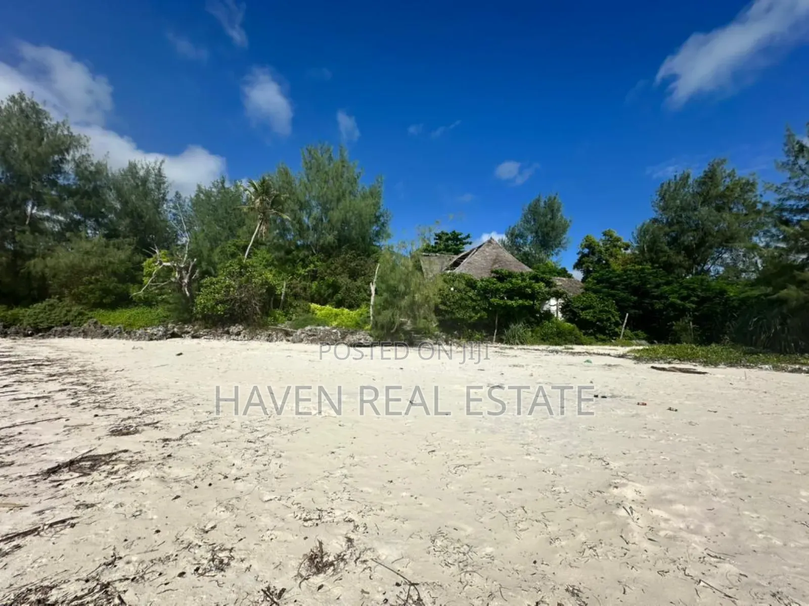 Beach Plot for Sale at Zanzibar