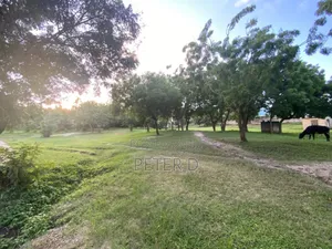 Viwanja SQM 1,117 Kimara Temboni