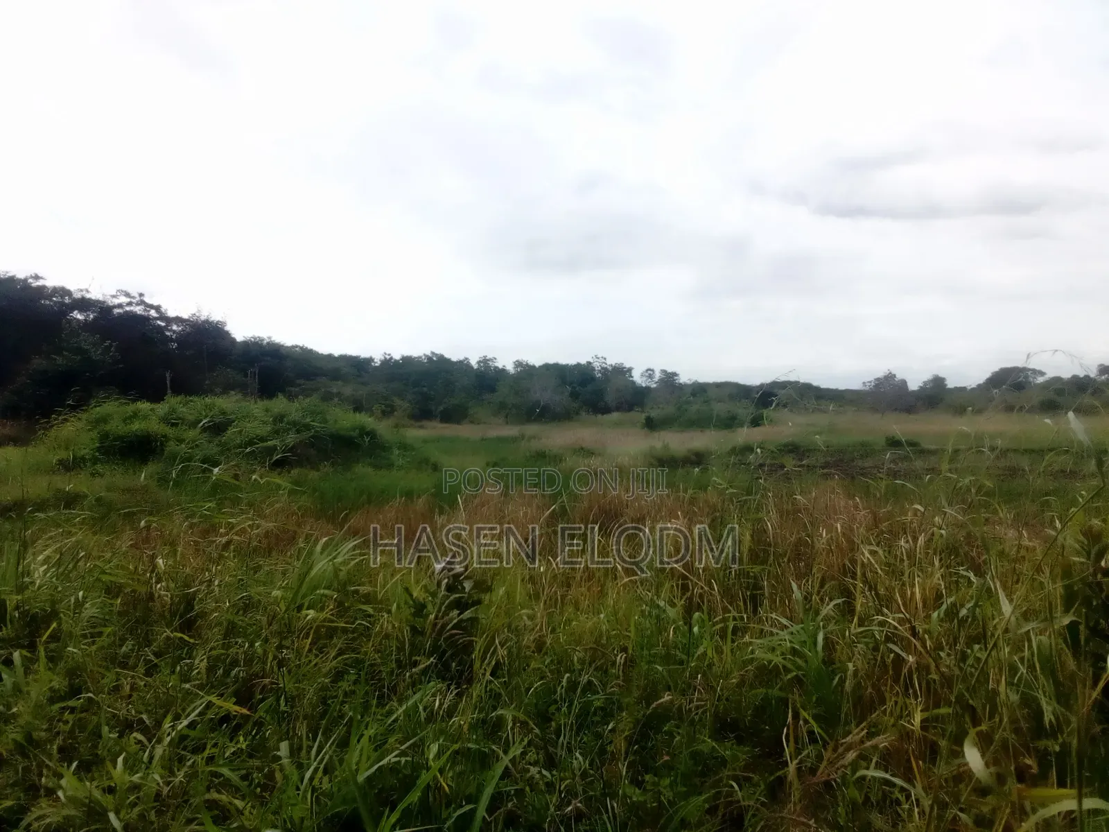 Mix Use Land With Title Deed for Sale 75acre on Mainroad