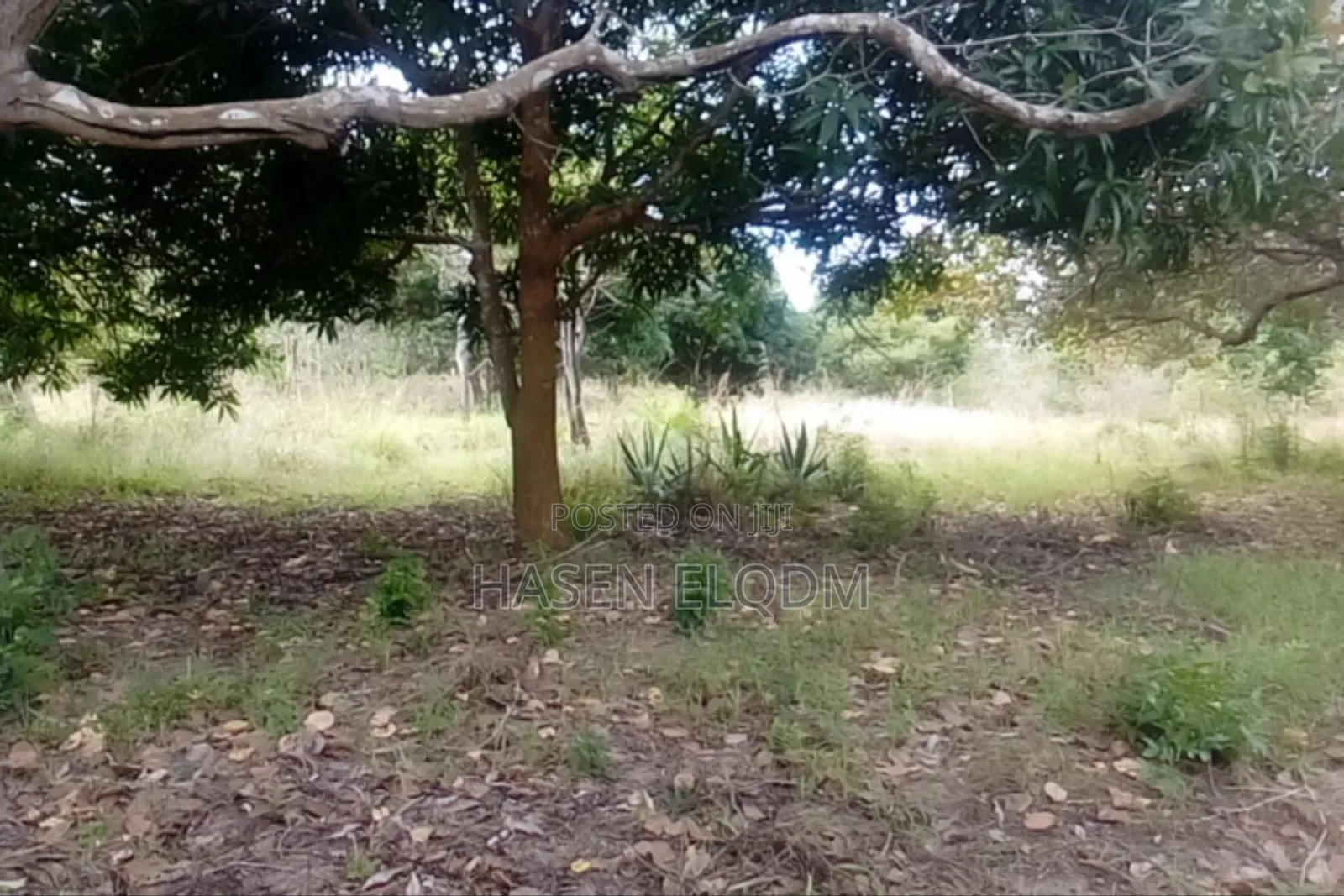 Mix Use Land With Title Deed for Sale 75acre on Mainroad