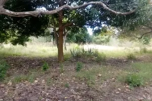 Mix Use Land With Title Deed for Sale 75acre on Mainroad