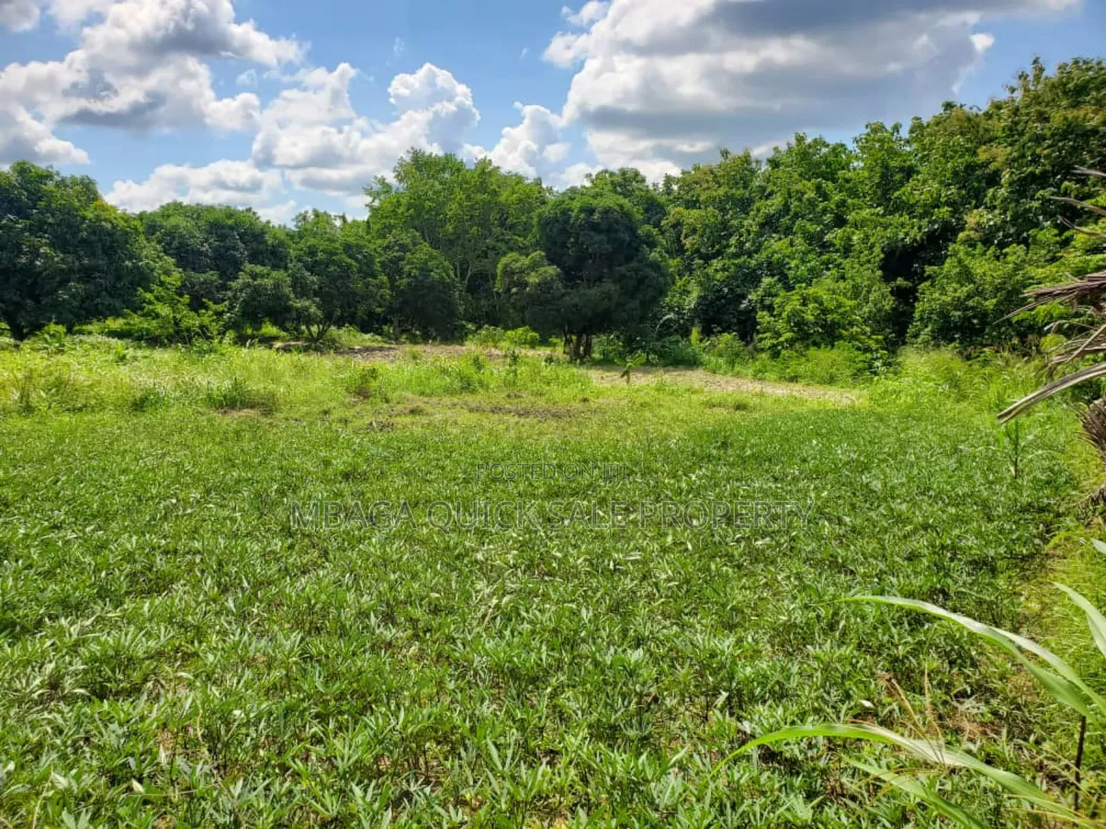 Plot for Sale at Kiluvya