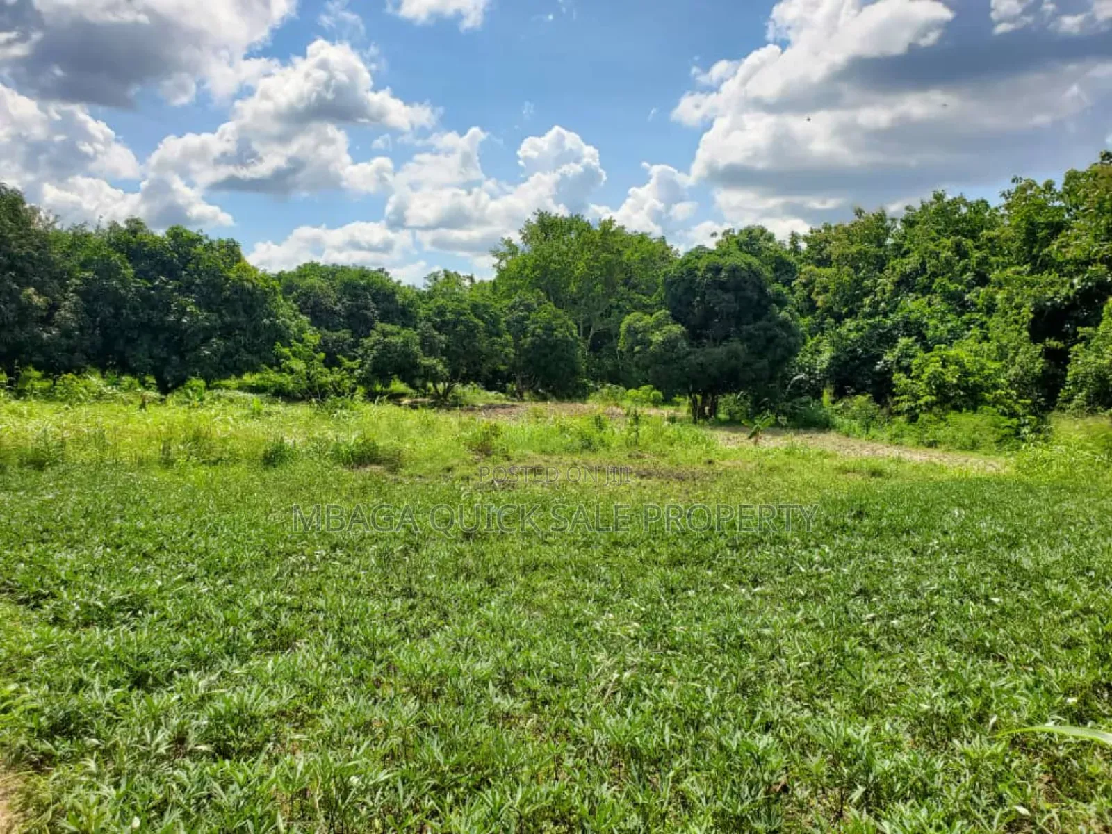 Plot for Sale at Kiluvya