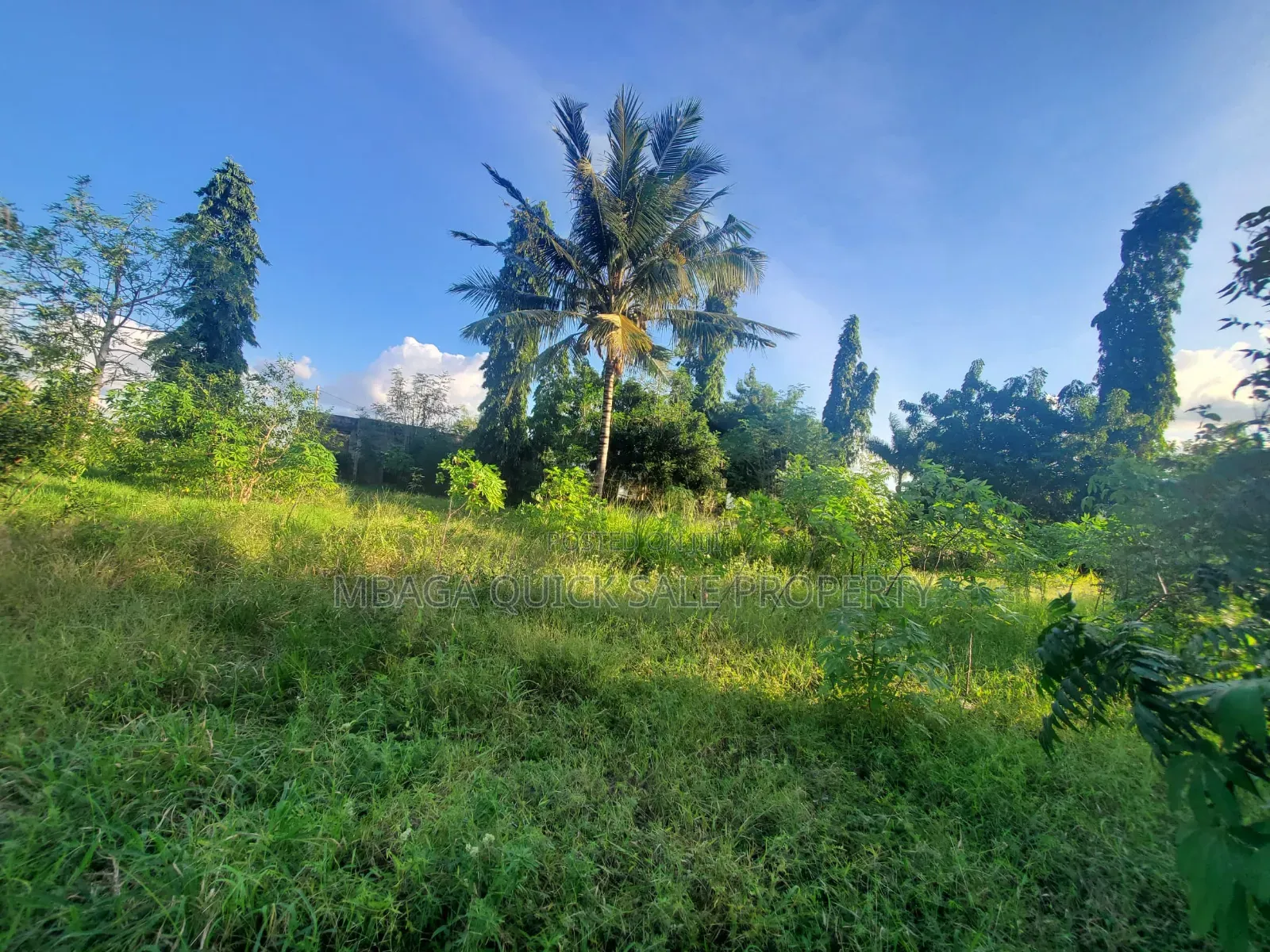 Plot for Sale at Madale Mivumoni